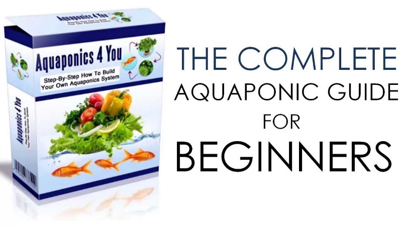 Aquaponics 4 You Review – Does John Fay’s System Really Work?